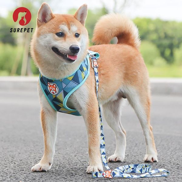 

dog collars & leashes hareness