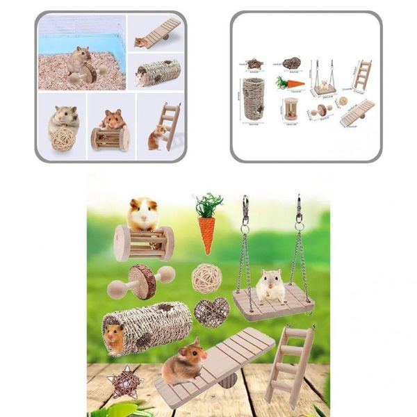 

small animal supplies teeth cleaning mixed pet molar toys
