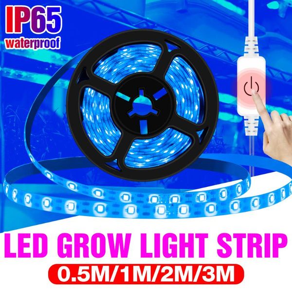 

grow light usb full spectrum plant lamp strip 0.5m 1m 2m 3m phyto bulb for indoor tent box flower seed fito lights