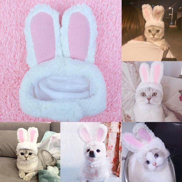 

cat costumes pet dog white ears hat ear cap bear po cute sell styling x0h4