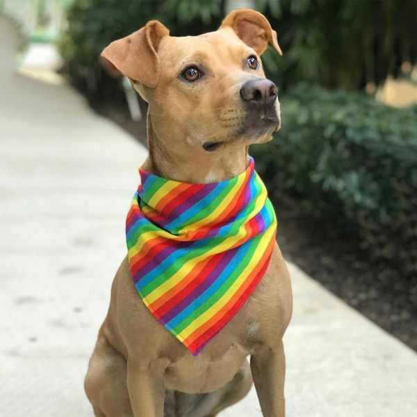 

dog apparel 1pcs pet bandana collar neckerchief rainbow triangle neck scarf saliva towel handkerchief fashion accessories supplies