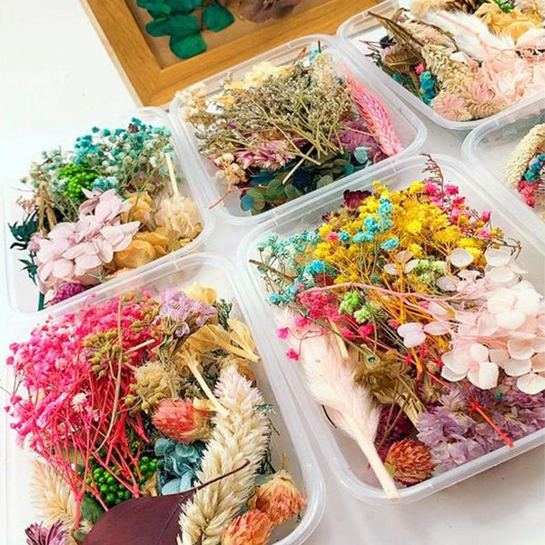 

box real nail dried flowers leaf art decor diy tips dyeing stickers for candle decorative & wreaths