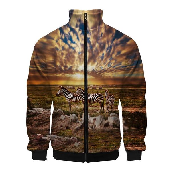 

men's jackets 2021 horse and zebra costume animal stand collar 3d hoodie men teenage zipper hoodies long sleeve sweatshirt, Black;brown