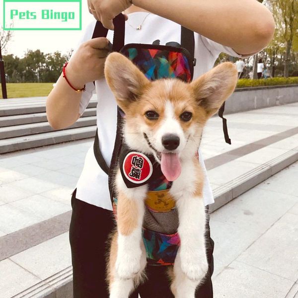 

pets bingo portable cat bag comfortable kitten backpack breathable puppy packbag adjustable dog carriers for 6kg pet supplies car seat cover