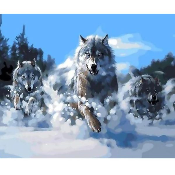 

paints by numbers wolf animals 50x40cm art pictures set coloring decorative canvas wall artcraft oil painting paintings