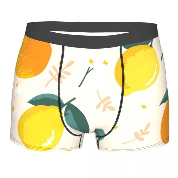 

underpants boxer men shorts underwear male summer lemons oranges flowers and leaves boxershorts panties man sexy, Black;white