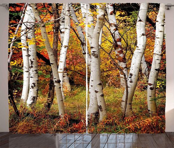 Vorhang-Vorhänge, Herbst-Dekor-Vorhänge, weiße Birken mit Herbstblättern, Wachstum, Wildnis, Ökologie, ruhige Aussicht, Wohnzimmerfenster