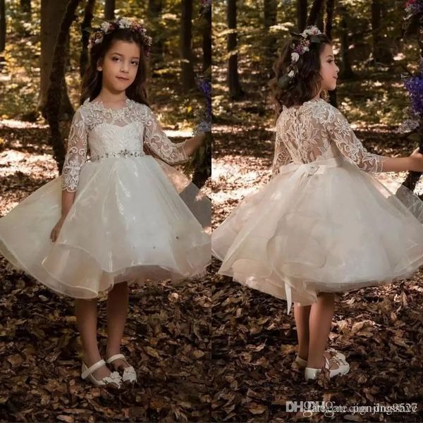 

new light champagne lace tulle beading formal cute little flower girl dress ball gown floor length little kids party birthday dress, White;blue