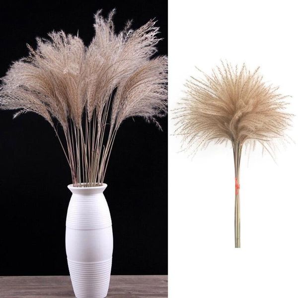 

30-40cm 20 natural dried reed flowers, whisk flowers decorative & wreaths