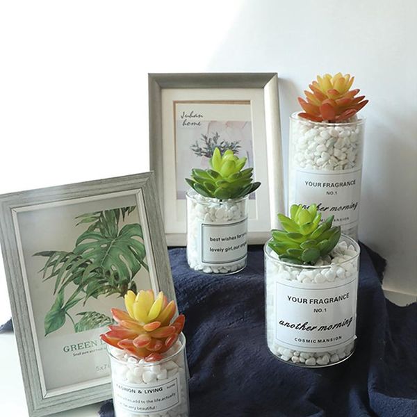 

simulation succulent siamese gem artificial flower indoor plant landscape decorative flowers & wreaths