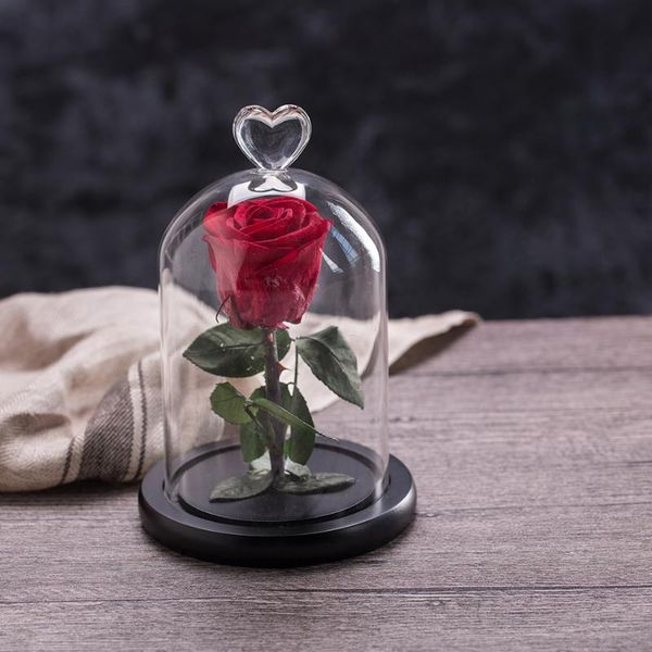

decorative flowers & wreaths little prince rose valentine's day flower gift to girlfriend mother's glass dome bell jar at wedding
