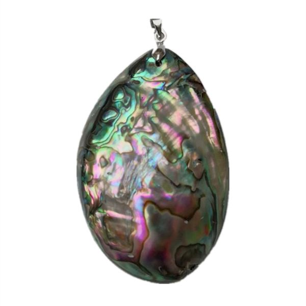 Paua Oyster Abalone Shell Organic Cabochon Ciondolo a forma libera per donna Uomo Collana fai da te Gioielli ispirati alla spiaggia 5 pezzi