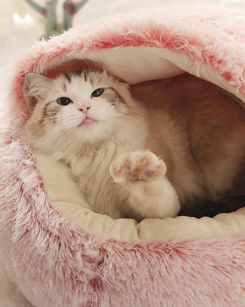 

Cat Round Plush Bed 40cm/ 50cm Soft Cushion Sofa 2 In 1 For Small Dogs Dog Pet Supplies Winter Warm House Beds & Furniture