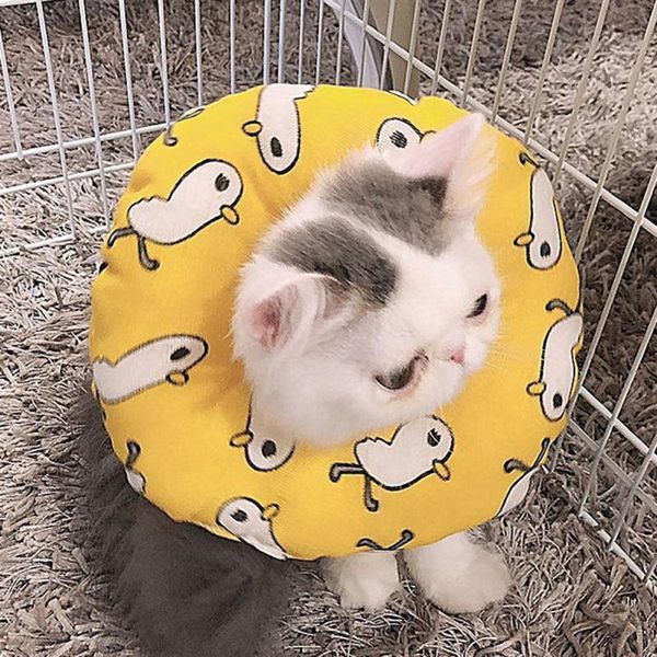 

cat collars & leads 2022 pet collar print recovery adjustable cotton blends neck prevent bite recover dog elizabeth protection