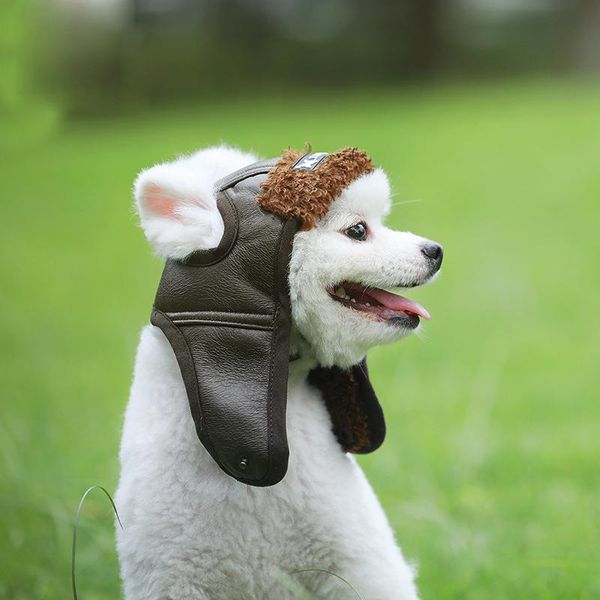 

dog apparel hat pet products for pilot retro european and american fashion warm