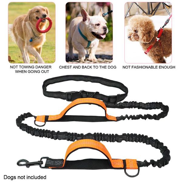 

reflective tape traction rope adjustable dog lead puppy pet leash walking jogging harnesses waist for running elastic sports collars & leash