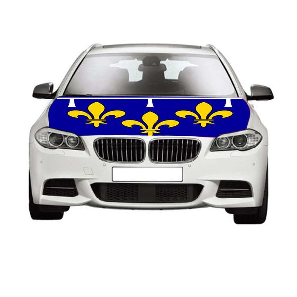 

french island regional flags 3.3x5ft 100%polyester,car bonnet banner