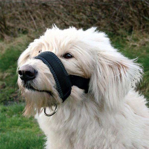 

dog collars & leashes muzzle pet padded head collar gentle halter leash leader spulling training muzzles tool