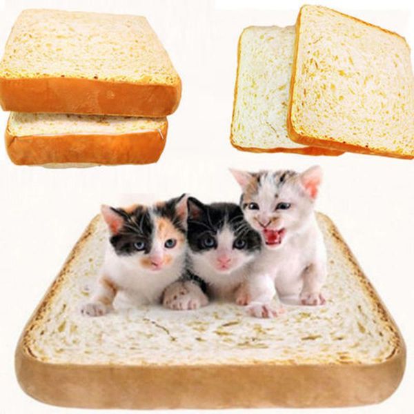 

cat beds & furniture bread toast bed mat soft fleece puppy cushion detachable wash small dog for chihuahua
