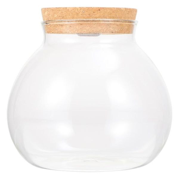 

vases diy landscape terrarium bottle container glass