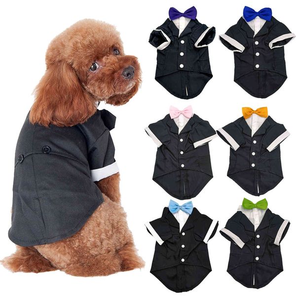 

dog cloth autumn winter dog teddy golden samo pet suit