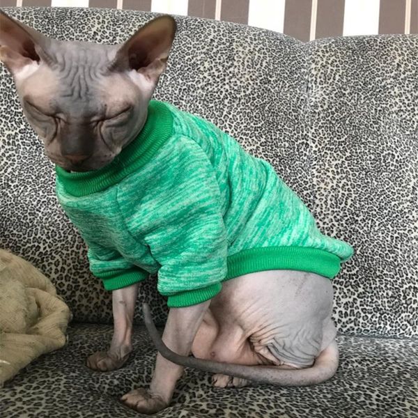 

cat costumes warm clothes winter pet clothing for cats fashion outfits coats soft sweater hoodie animals spring supplies 45