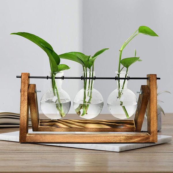 

hydroponic plant transparent glass vase with wooden tray stand home office deskdecor creative bonsai terrarium flower pot