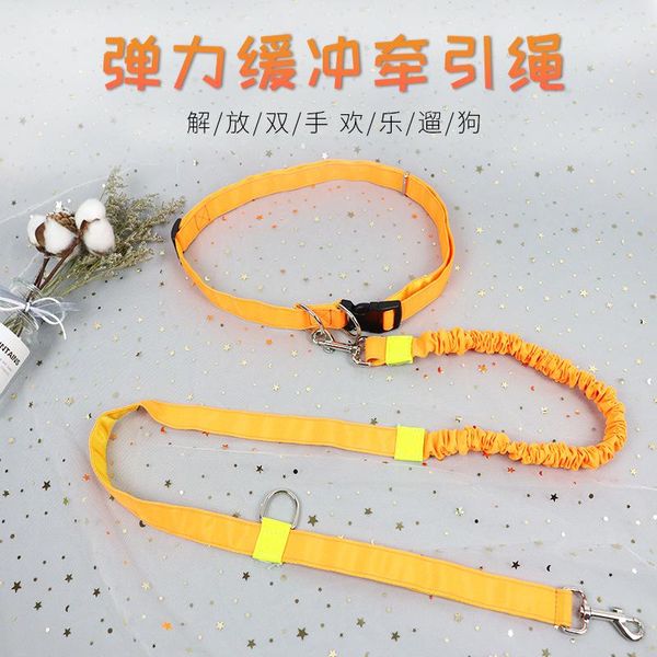 

elastic dog leash pet products collar harness collars & leashes
