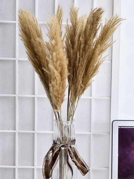 

decorative flowers & wreaths real bulrush natural dried small pampas grass light color wedding bunch holiday party
