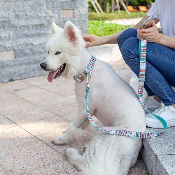 

dog collar leash set for cat traction rope puppy pulling cable safety training pet collars & leashes