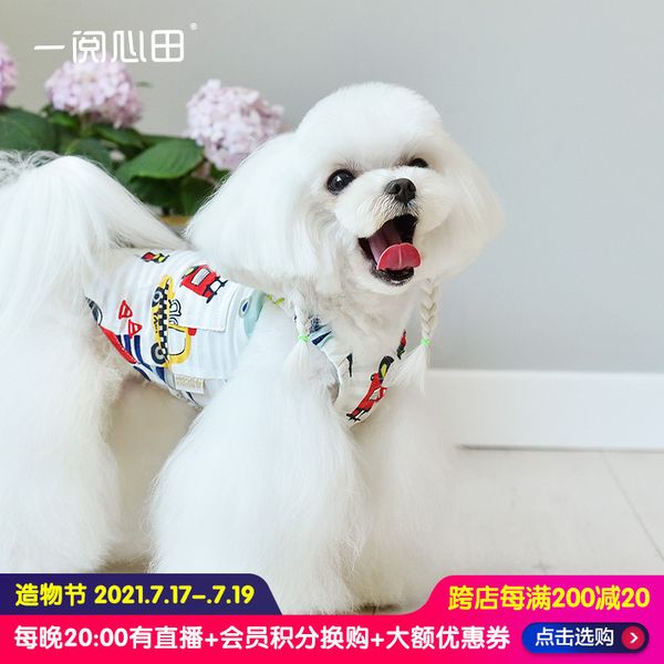 

teddy pet dog cloth car small thinner than bear summer four legged