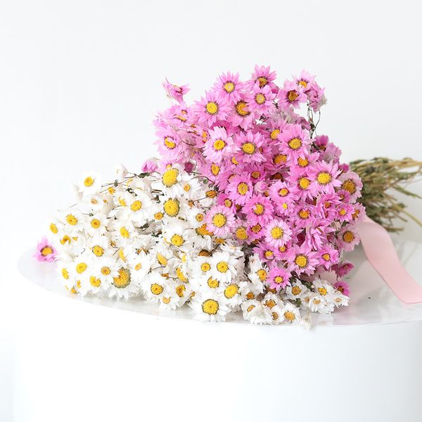

natural dried flowers bouquet rudan birds small helichrysum daisy diy arrangement vase room home art decoration valentine day