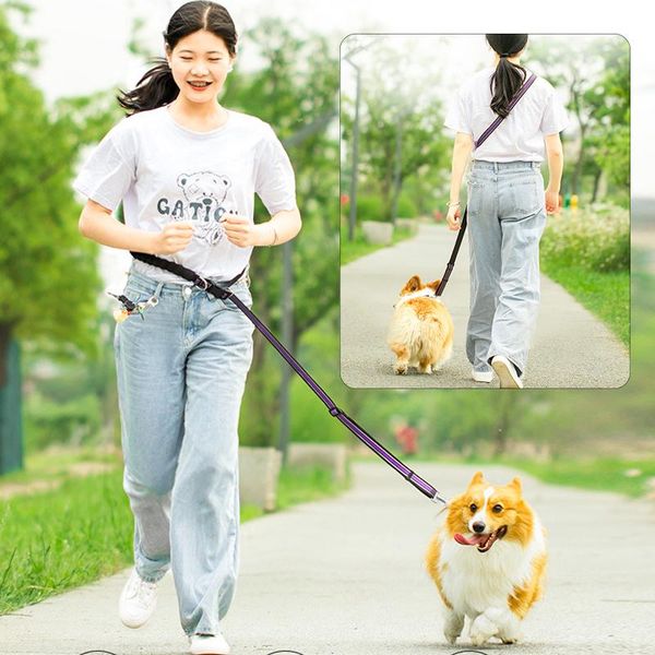 

dog collars & leashes nylon leash traction rope hands pet lead belt reflective training running strap for small large accessories