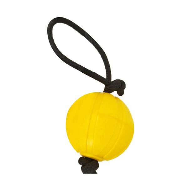 

dog apparel pet toy training ball supplies environmental protection lek lake