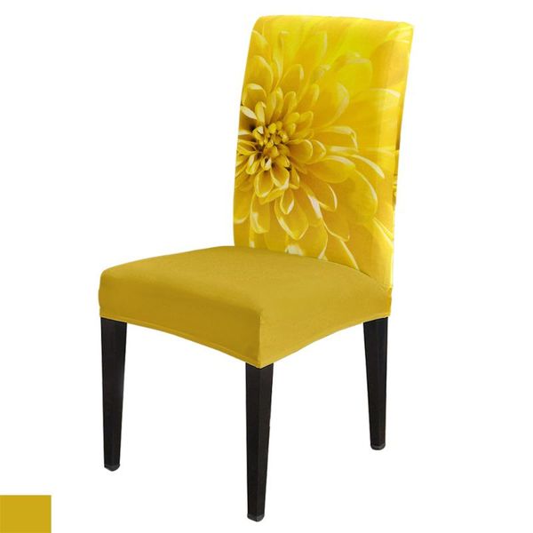 

chair covers chrysanthemum yellow dining cover spandex elastic print slipcovers furniture kitchen wedding supplies
