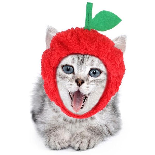 

cat dress up pet pineapple hat headdress stupid dew ears plush hood costumes