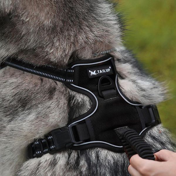 

dog collars & leashes chest harness reflective vest breathable relieve pressure mesh fabric safety for pet