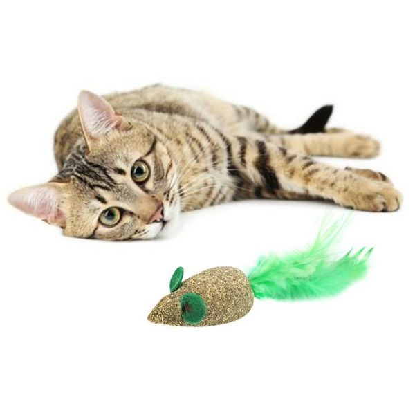 

cat toys pet removes hairballs to chew on wood teng