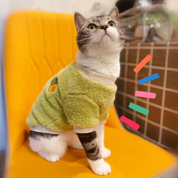 

fruity coral fleece cat sweater clothes avocado watermelon grape costumes