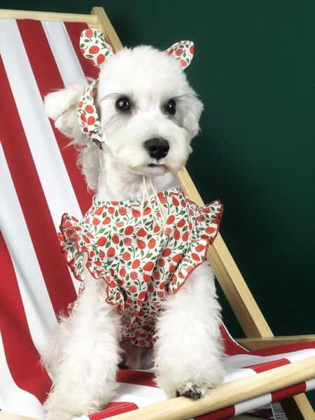 

pet clothes cute princess print with headdress teddy schnauzer dress wear skirt dog apparel