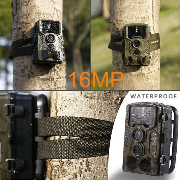 

- 800g 1080p hd hunting trail camera outdoor wildlife scouting night vision ip65 chasse cameras