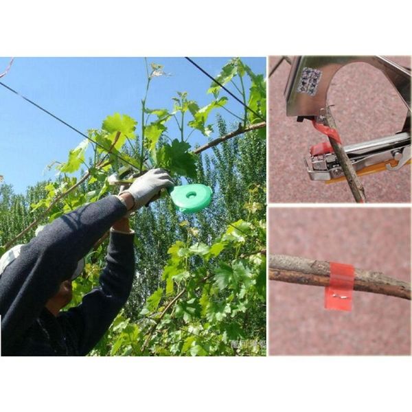 

professional hand tool sets garden plant tapetool tapener machine typing for fruit vegetable vine tomato, agriculture tree,