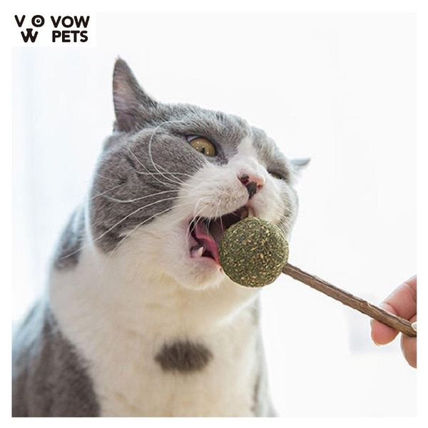 

pets toys cats pet products cat toy kittens love playing catnip lollipop ball with stick 2021 fashion for