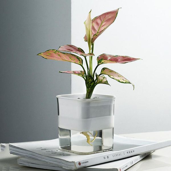 

hydroponic plant vases vintage flower pot automatic water-absorbing plants no-watering plastic container indoor dec