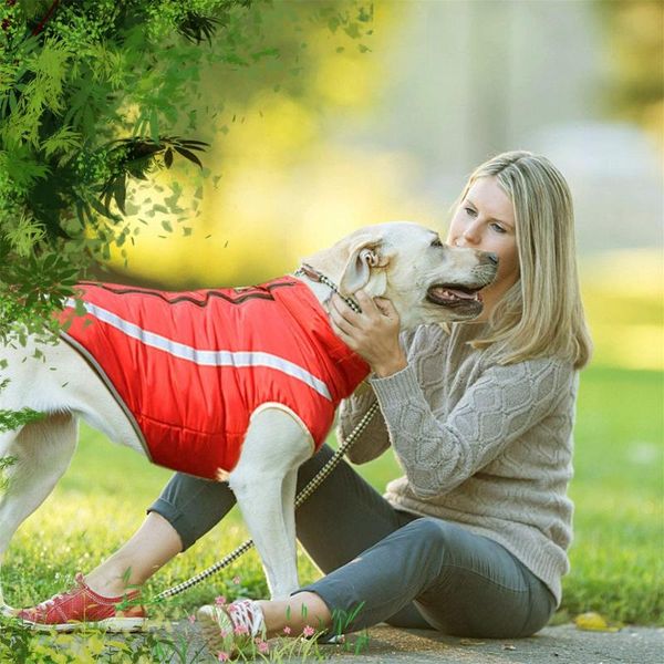 

wholesale pet clothes dog clothing warm autumn winter reflective red apparel