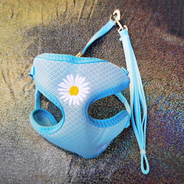 

pet cat vest harness with floral small dog and leash set mesh padded rope for puppy dogs chihuahua yorkie 10e collars & leashes