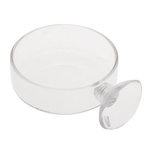 

new arrival aquarium feeder aquarium garnalen glass voerbak clear dish load 40ja