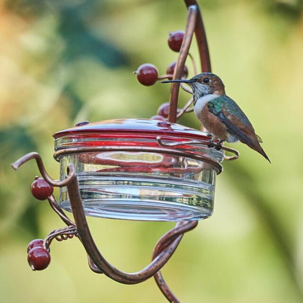 

decorative objects & figurines hanging decorations courtyard bird feeder,red berries hummingbird feeder home decor
