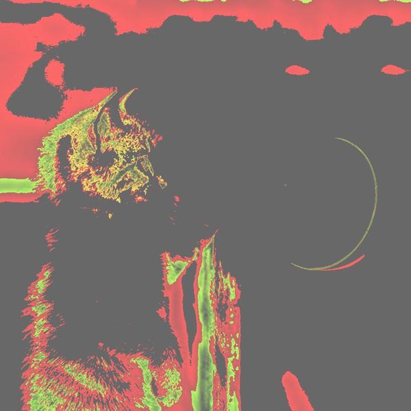 

cat toys toy rolling ball led red light motion activated pet interactive