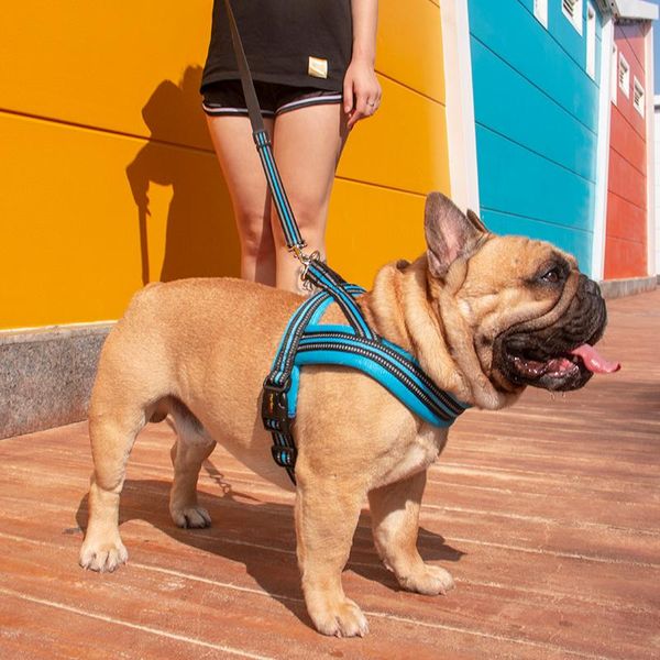 

dog collars & leashes personalized harness vest soft reflective night safety nylon leash collar beagle correa perro hundeleine puppy dd55qy